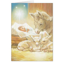 Baby Jesus Nativity with Lambs and Donkey Cards