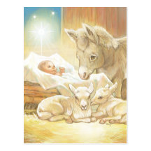 Baby Jesus Nativity with Lambs and Donkey Postcards