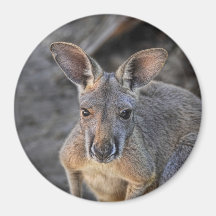 Baby Joey Red Kangaroo Crop Fridge Magnet