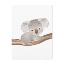 Baby Koala Post Cards