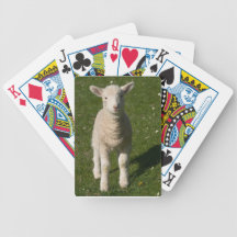 Baby Lamb Sheep Playing Cards