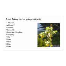 Baby Lemon Tree Business Card