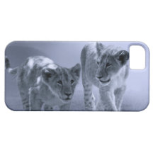 Baby lion cubs at play iPhone 5 cover