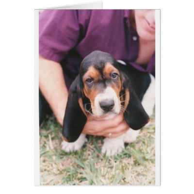 Baby Mocca Card by bassetfan