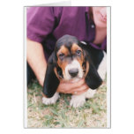 Baby Mocca cards