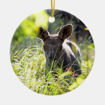 Baby Moose Ornament