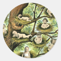 Baby Nests in Trees Round Stickers