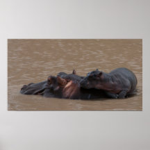 Baby on Board Posters