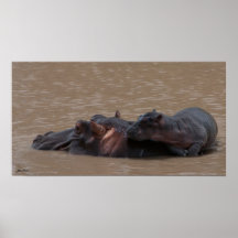Baby on Board Posters