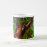 Baby Orangutan & Rainforest Primate Art Gift Coffee Mug