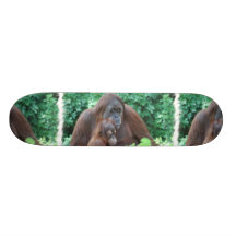 Baby Orangutan with Mother Skateboard