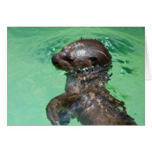 Baby Otter  Greeting Card