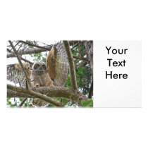 Baby Owl Picture Picture Card