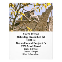Baby Owls and Mother Owl in a Nest Custom Announcements
