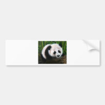Baby panda balancing on a log bumper sticker