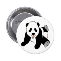 Baby panda cub playing pinback buttons