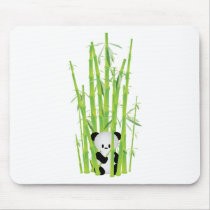 Baby Panda in Bamboo Forest
