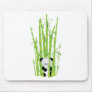 Baby Panda in Bamboo Forest