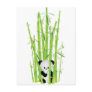 Baby Panda in Bamboo Forest
