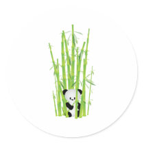 Baby Panda in Bamboo Forest