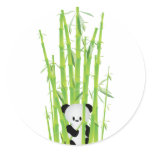 Baby Panda in Bamboo Forest