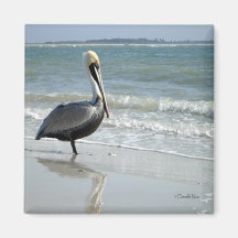 Baby Pelican Magnet