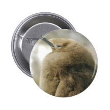 Baby Penguin Button