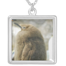 Baby Penguin Necklace