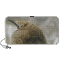 Baby Penguin Speakers
