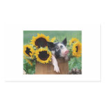 Baby Piglet Pig Stickers