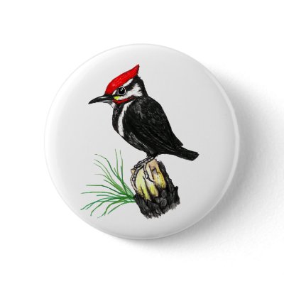 Baby Pileated Woodpecker Button by natures_edge