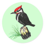 Baby Pileated Woodpecker Stickers
