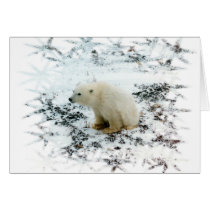 baby polar bear card
