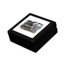 Baby Polar Bear Gift Box