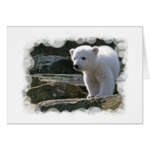 Baby Polar Bear Greeting Card