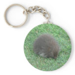 Baby Porcupine Keychains