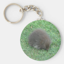Baby Porcupine Keychains