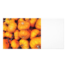 Baby Pumpkins Custom Photo Card