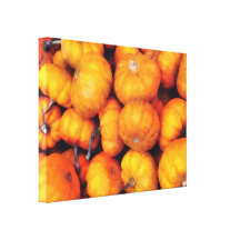 Baby Pumpkins Gallery Wrap Canvas