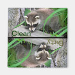 Baby Raccoon 2 Dishwasher Magnet