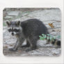 Baby Raccoon Mousepad