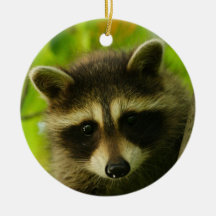 baby raccoon ornament