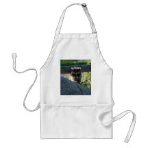 Baby Raccoon Rock Photo Apron