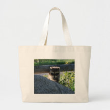 Baby Raccoon Rock Photo Canvas Bags