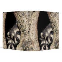 Baby raccoons in tree cavity Procyon Vinyl Binder