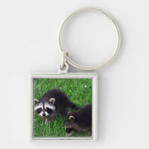 Baby Raccoons Keychain