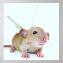 Baby Rat Butterfly Posters