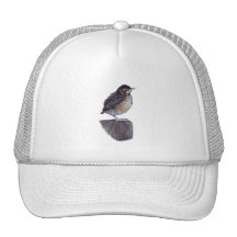 Baby Robin Hats
