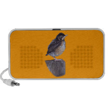 baby robin iPhone speaker