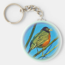 Baby Robin Key Chains